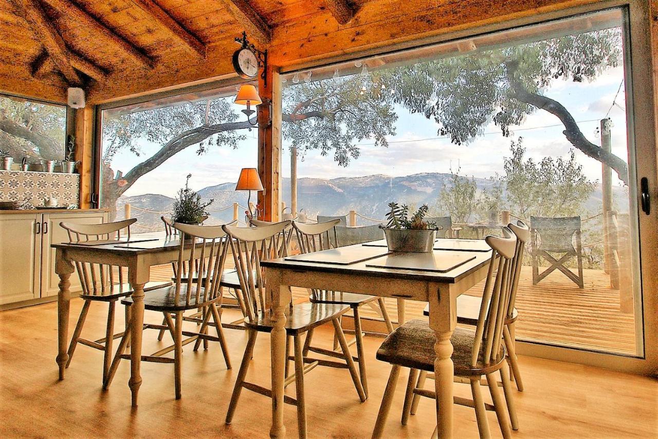 Almondhouse Suites With Fireplace - Adults Only Arachova Esterno foto