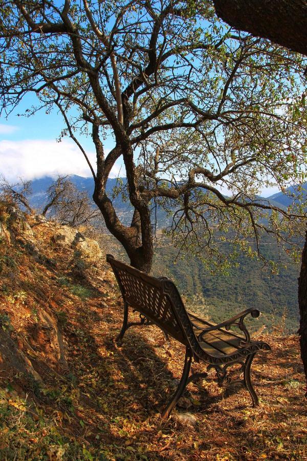 Almondhouse Suites With Fireplace - Adults Only Arachova Esterno foto